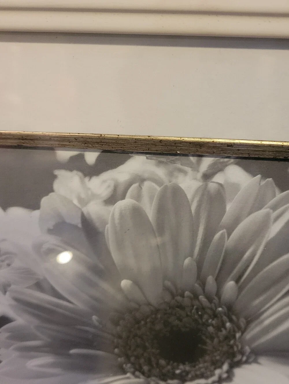 Jaclyn Smith White Frame with Gold Inner Trim